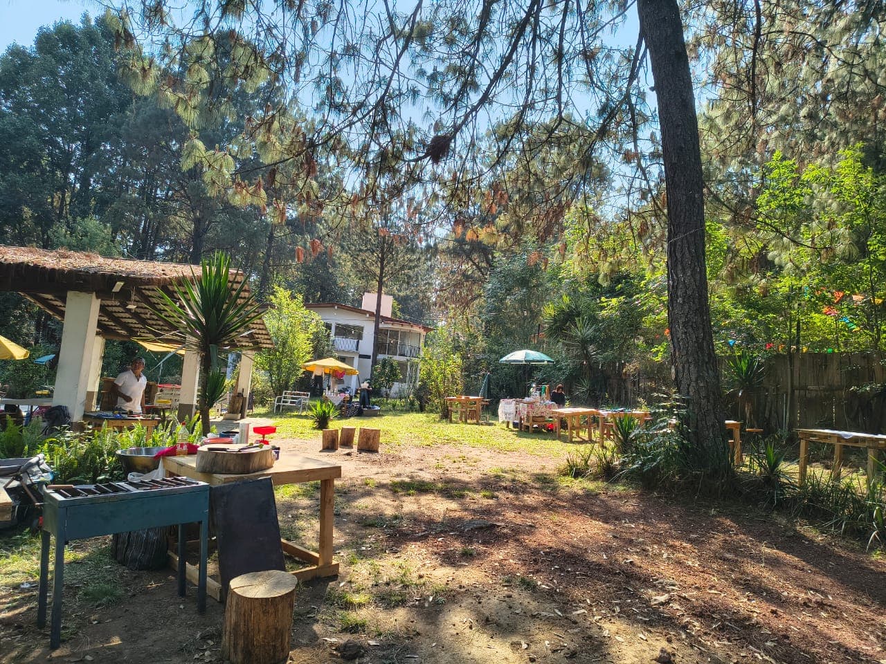 Muestra del servicio 1