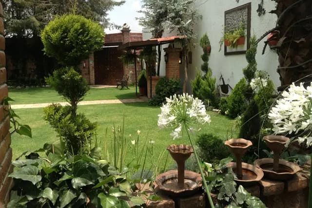 Muestra del servicio 2