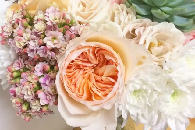 Decoración y Flores — Terrarios Monterrey, Monterrey