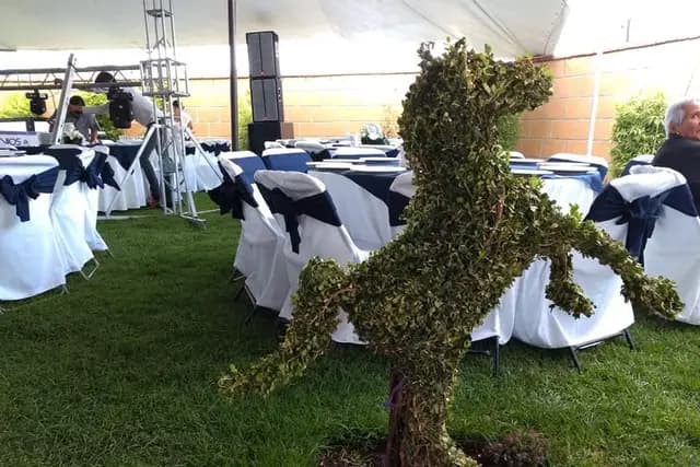 Muestra del servicio 1