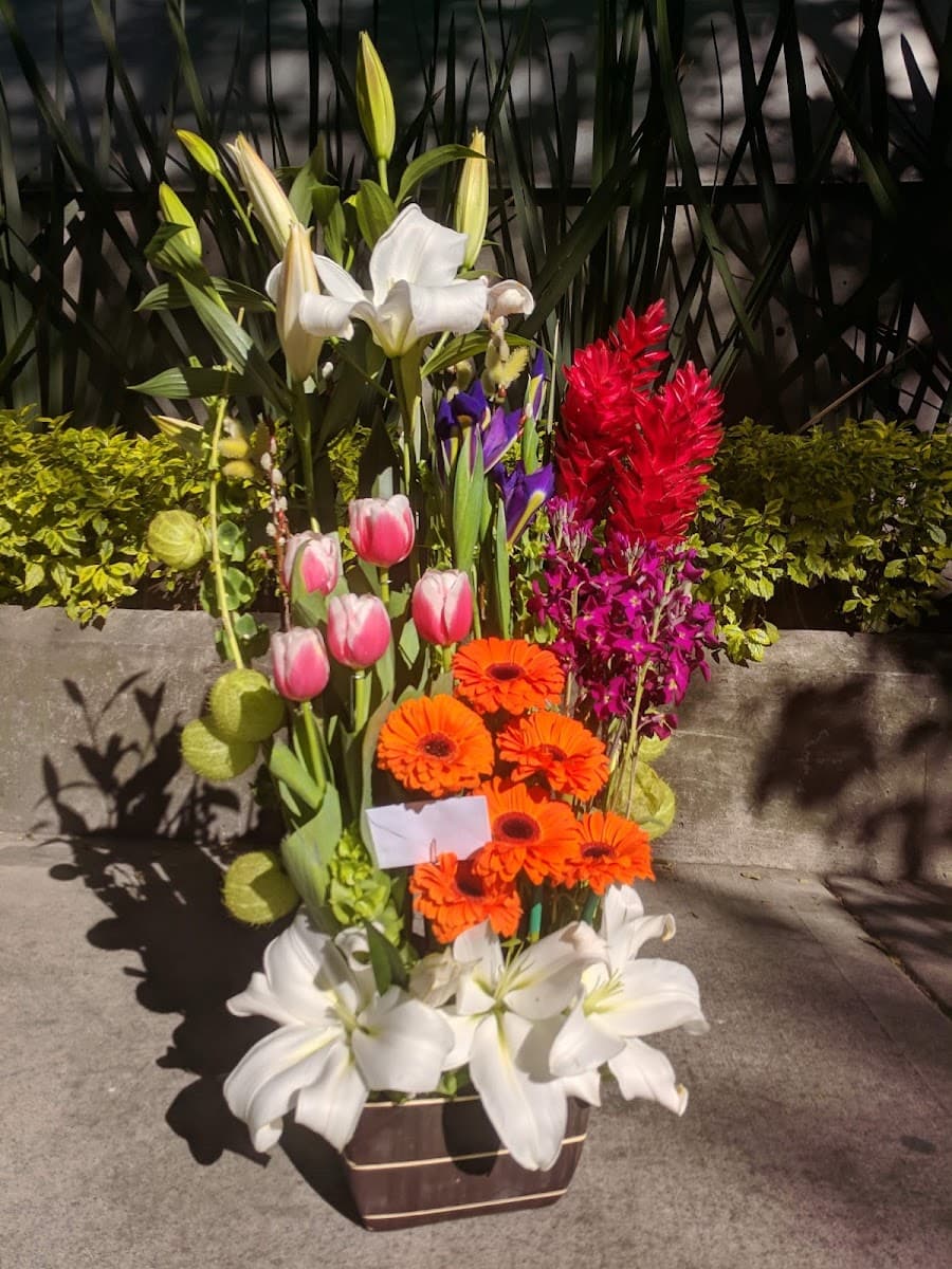 Foto de Florería Aurea Lidia