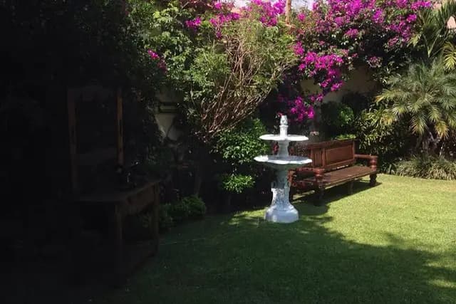 Muestra del servicio 2