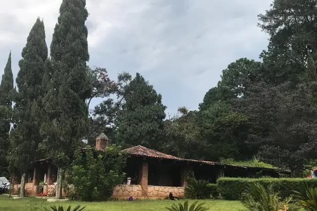 Muestra del servicio 2