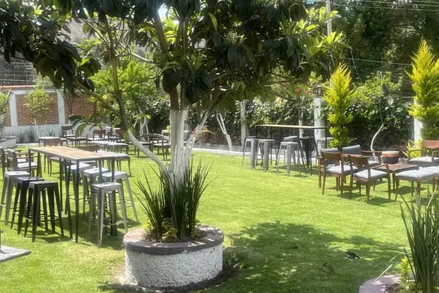 Muestra del servicio 1