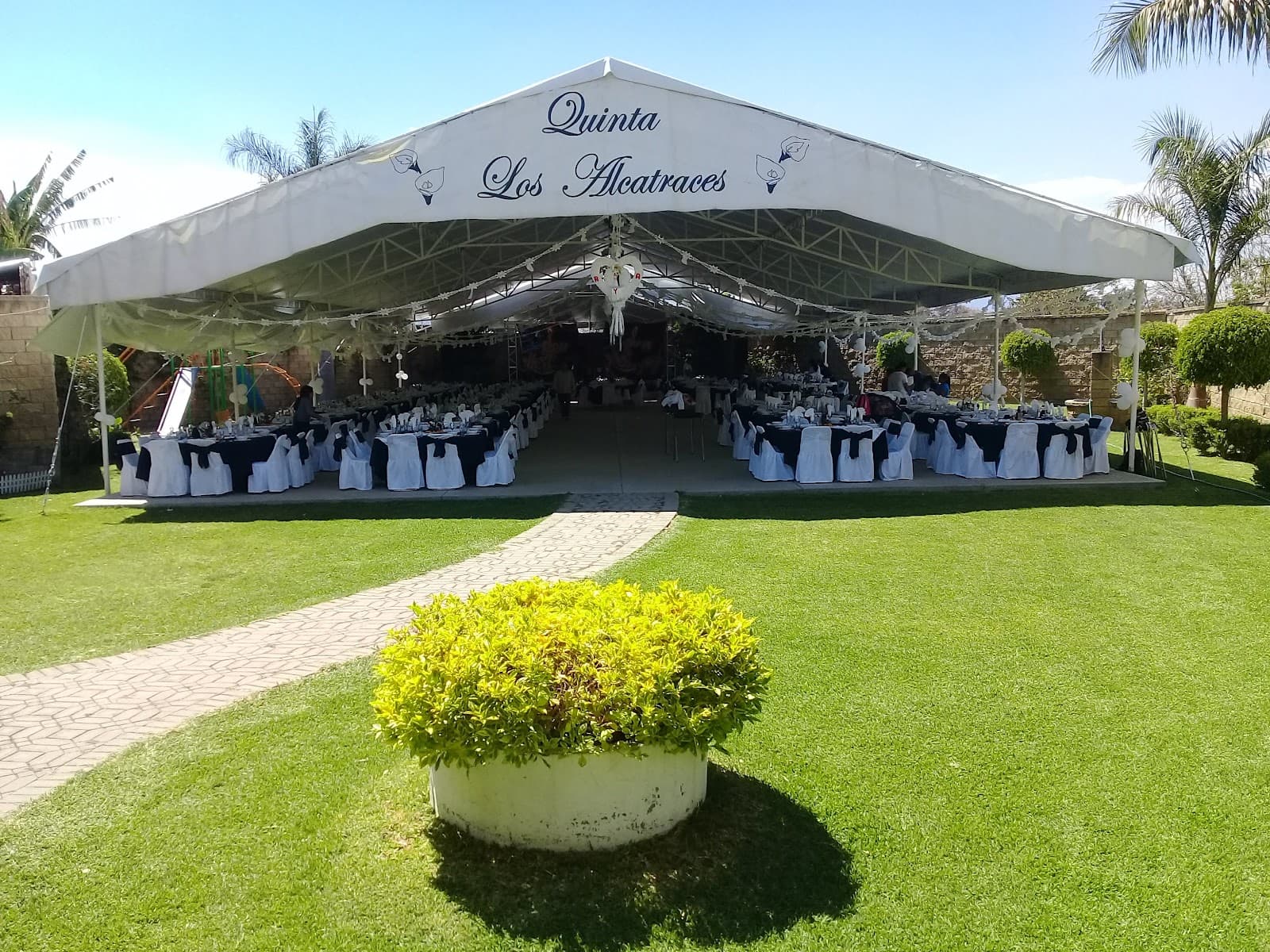 Muestra del servicio 1