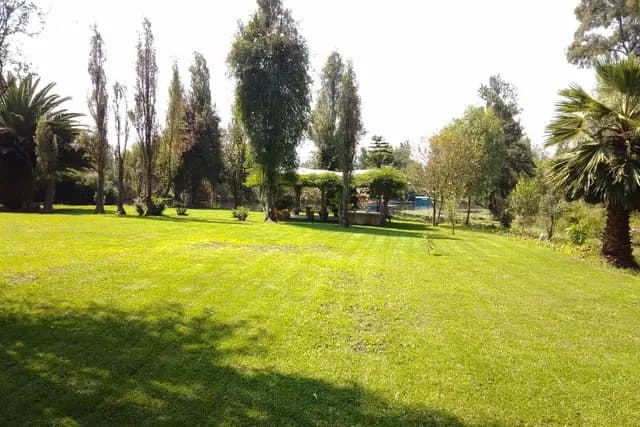 Muestra del servicio 1