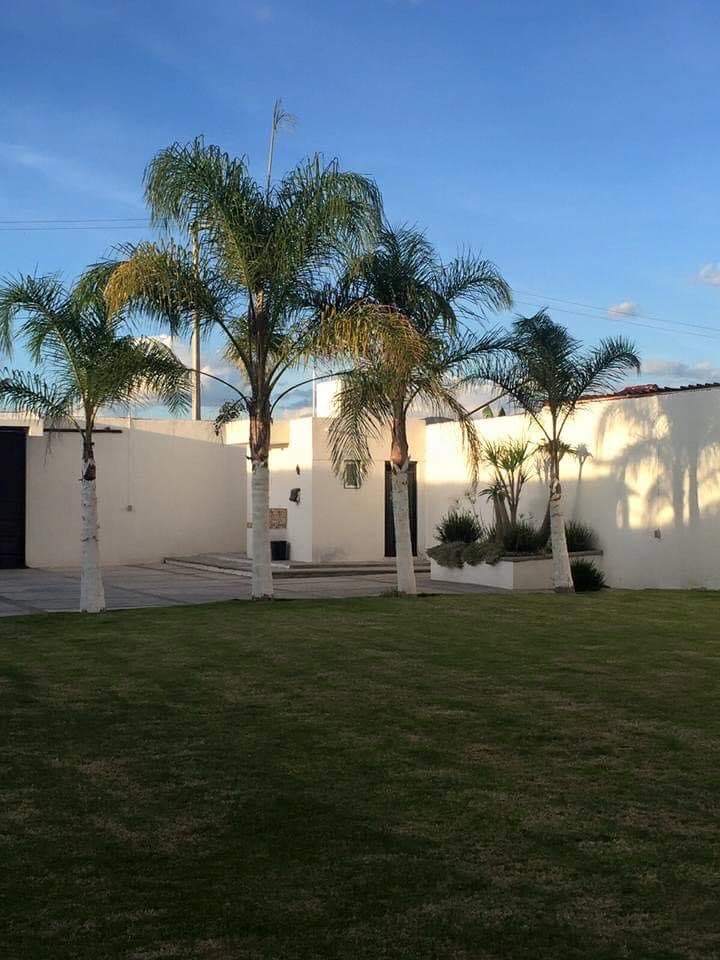 Venues — Terraza Papazitooz, León