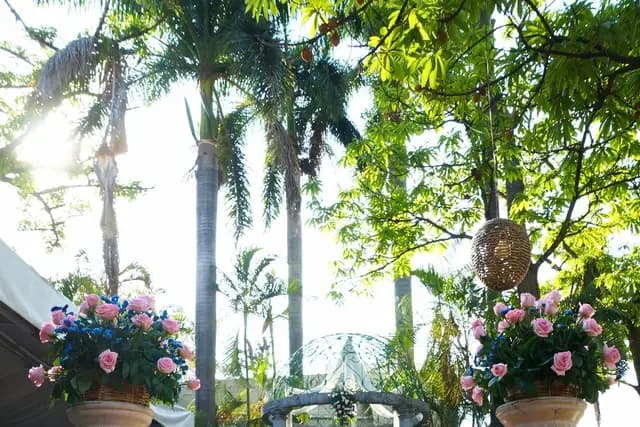 Venues — Jardín Las Fuentes, Cuautla