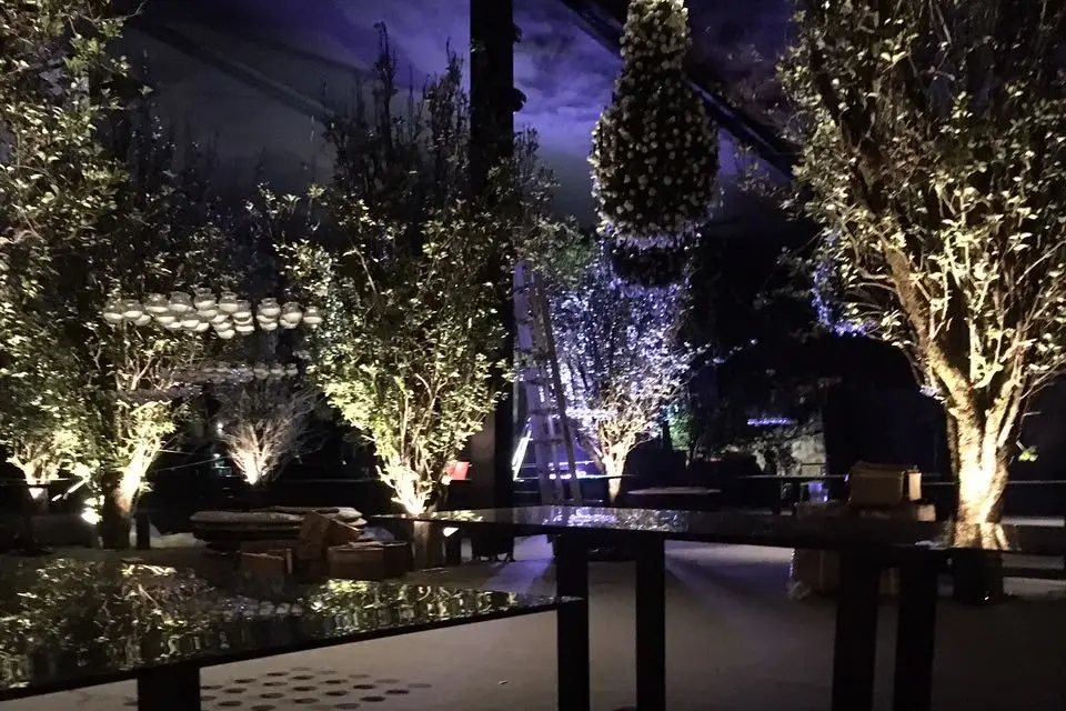 Entretenimiento para bodas en Ciudad de México — Eventos Asesores, Ciudad de México
