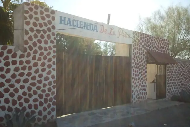Muestra del servicio 3