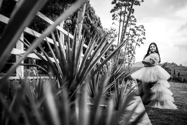 Fotografía y Video — Sebastian Padilla Fotografia, San Luis Potosí