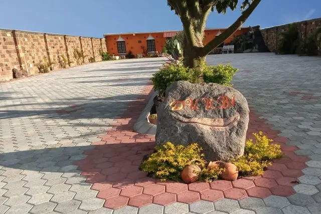 Muestra del servicio 2