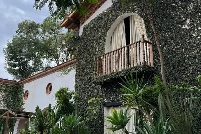 Muestra del servicio 1