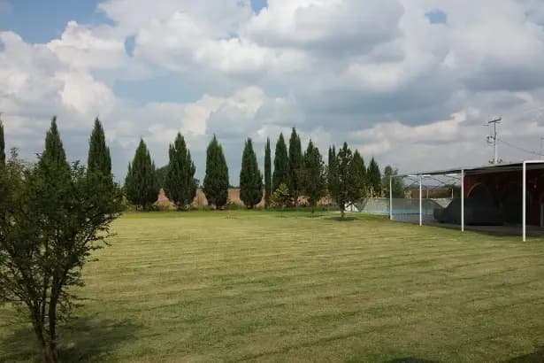 Muestra del servicio 2