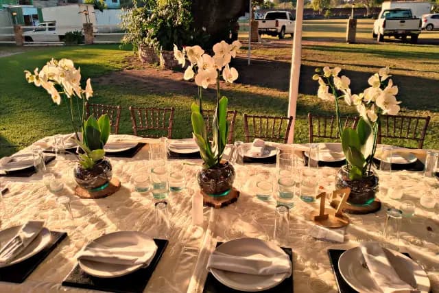 Silvia Barloz — wedding planner