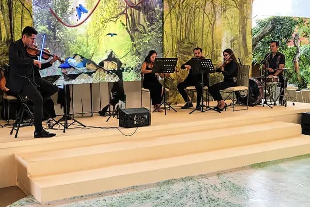 Música — Resonare Strings, Oaxaca