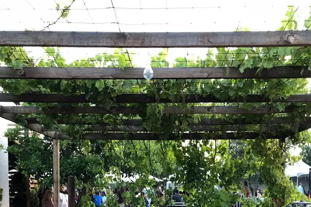 Venues — Shedeh, Ensenada