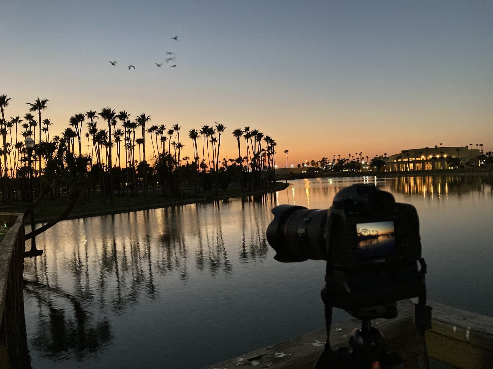 Foto de Miguel Malo Fotógrafo Sa De Cv