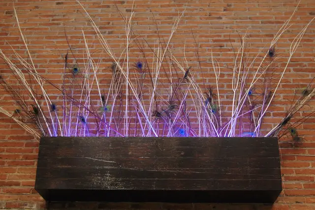 Wedding Planners para bodas en Ciudad de México — Nyc Event Plannig, Ciudad de México