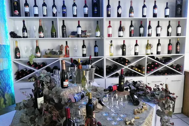 Muestra del servicio 1