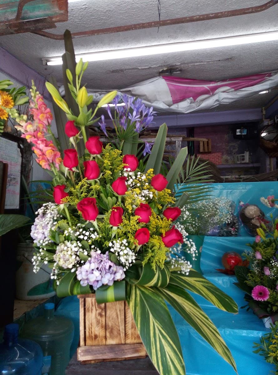 Foto de Expressa Flores