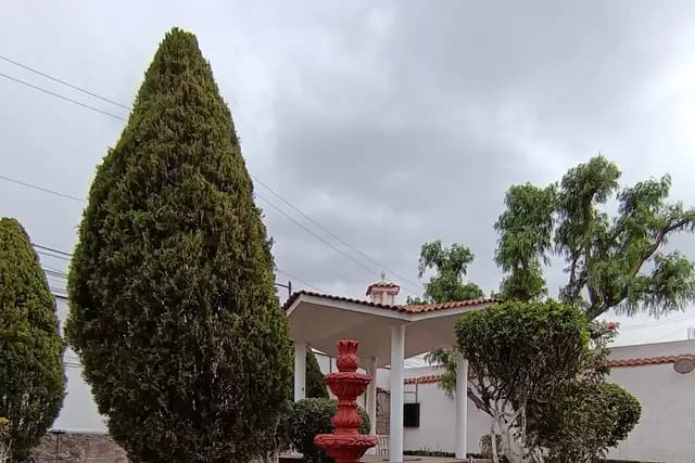 Muestra del servicio 1