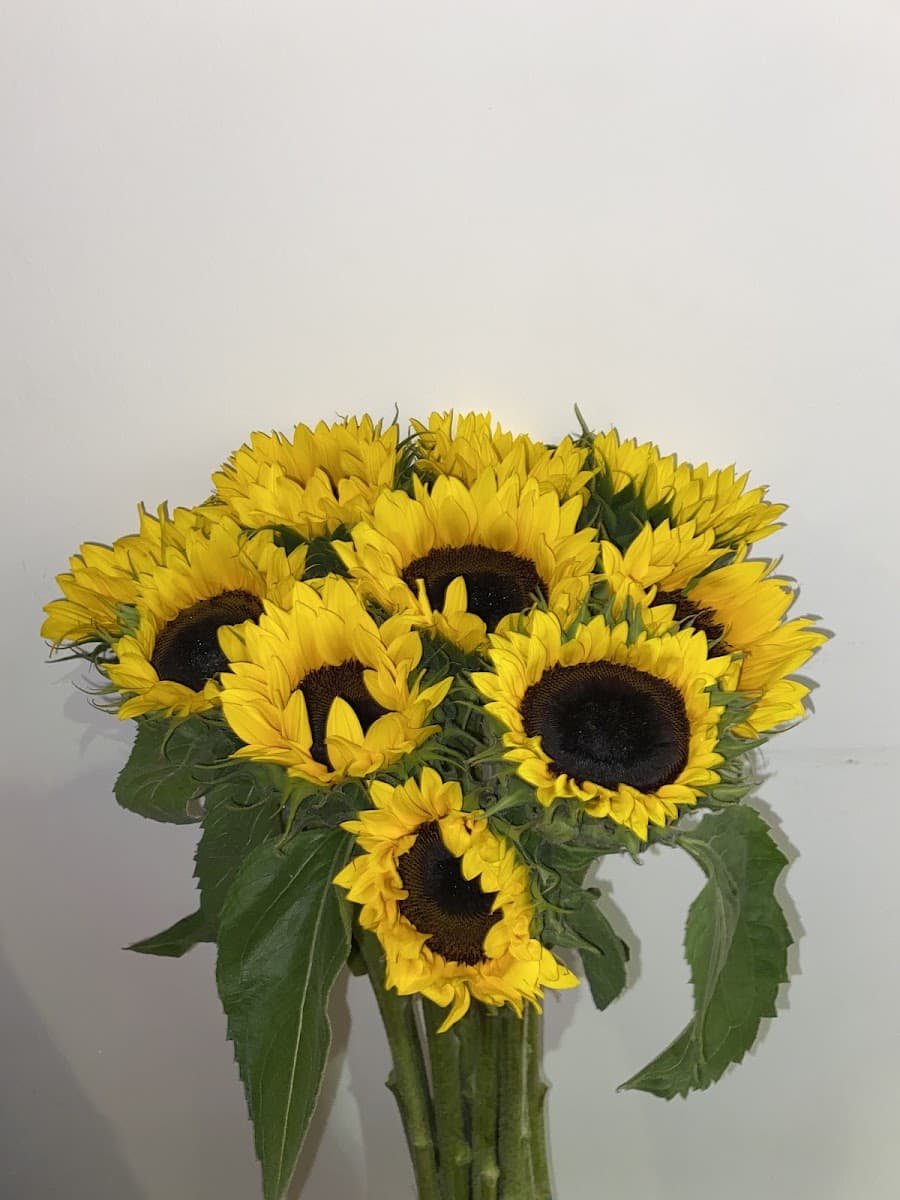 Foto de Flower House Monterrey