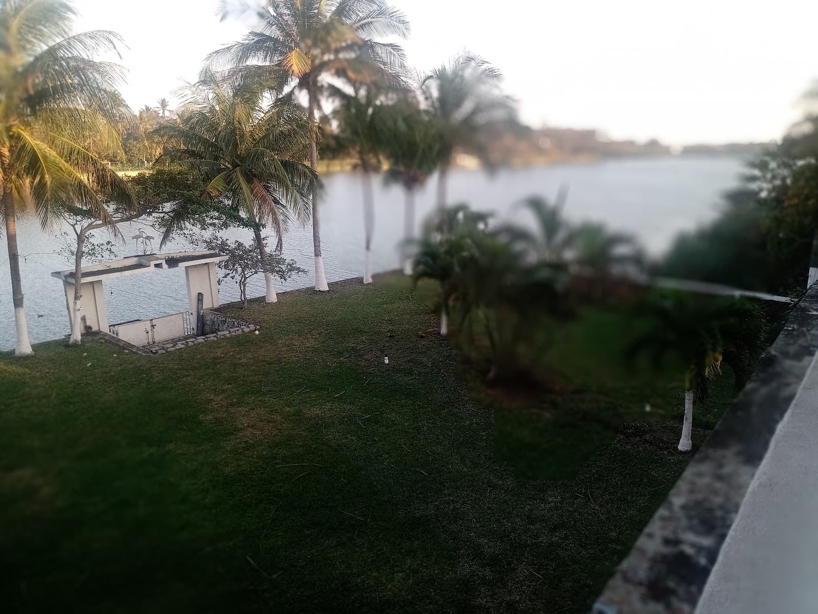 Muestra del servicio 1