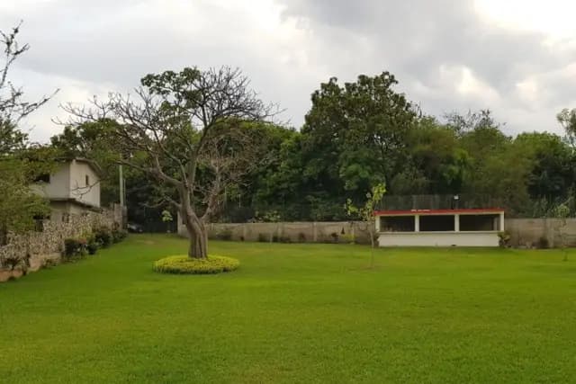 Muestra del servicio 2