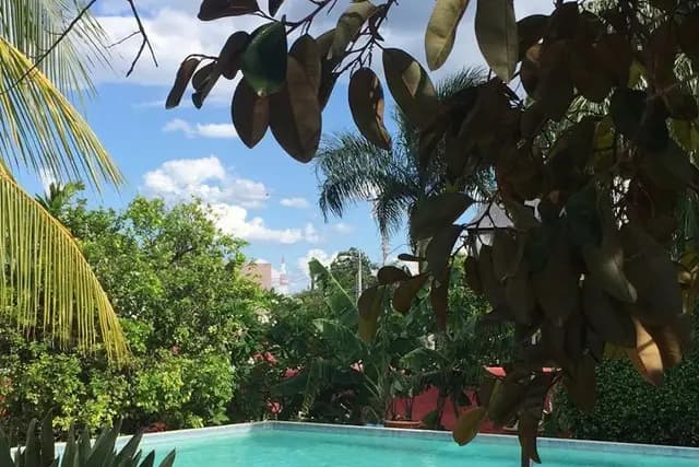 Muestra del servicio 2