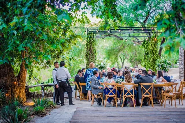 Venues — Armadillo Magico, San Luis Potosí