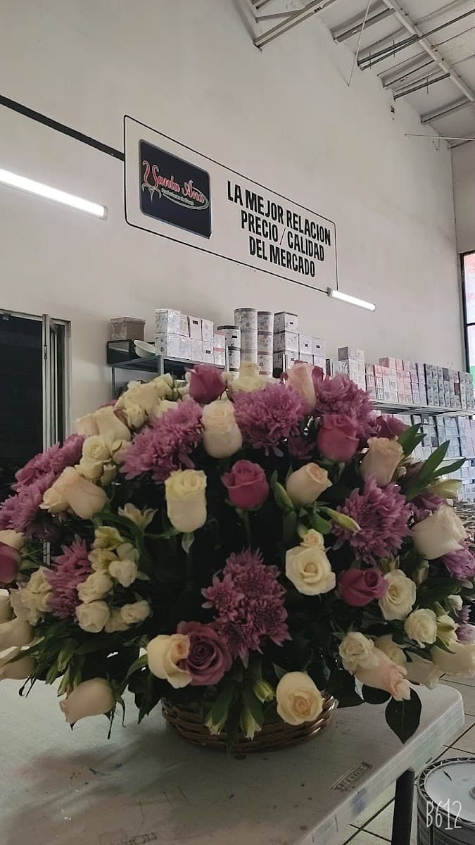 Muestra del servicio 1