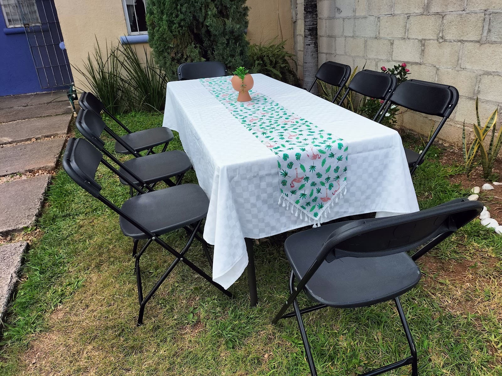 Muestra del servicio 1