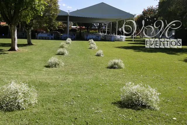 Wedding Planners — Vm Eventos,
