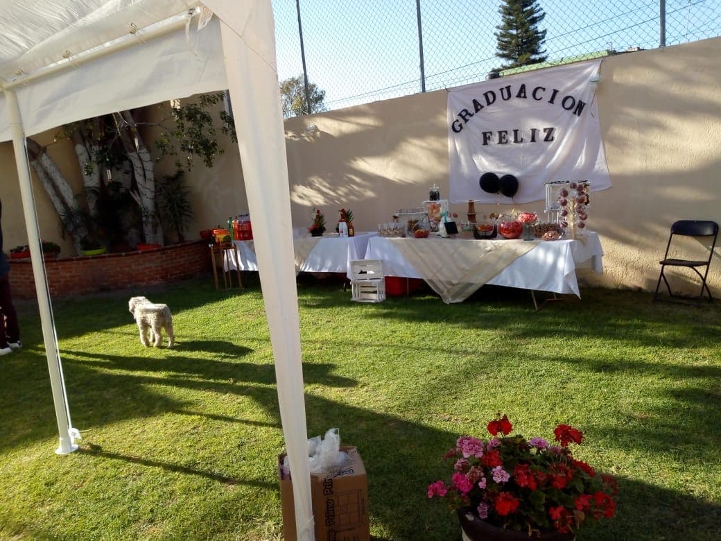 Muestra del servicio 1