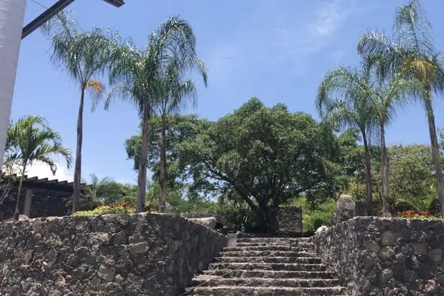 Muestra del servicio 1