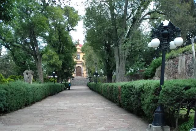 Muestra del servicio 1
