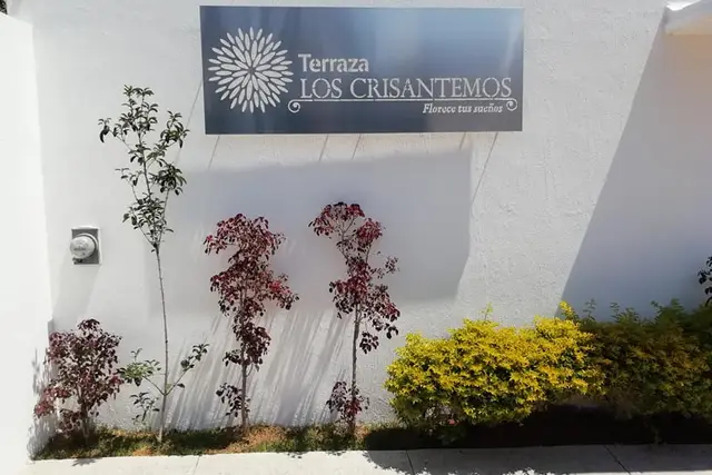 Muestra del servicio 3