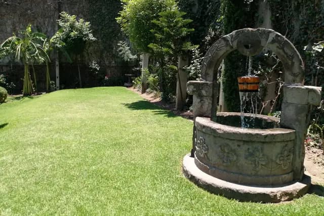 Muestra del servicio 2
