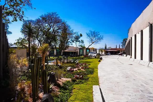 Muestra del servicio 2