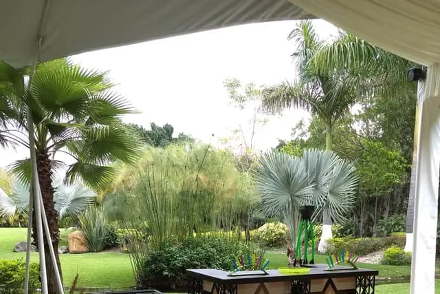 Muestra del servicio 1
