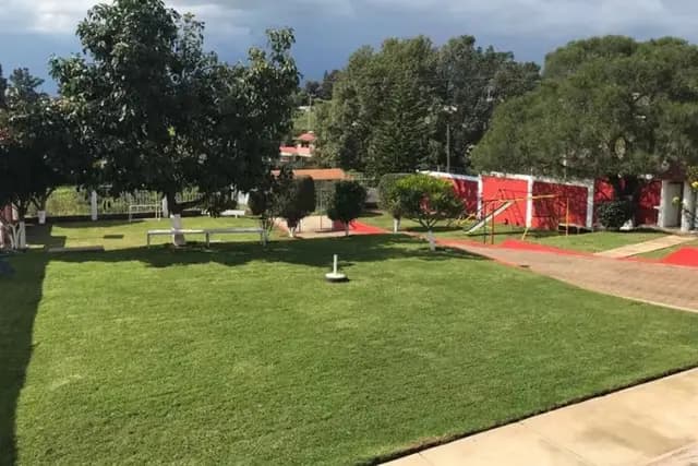 Muestra del servicio 1