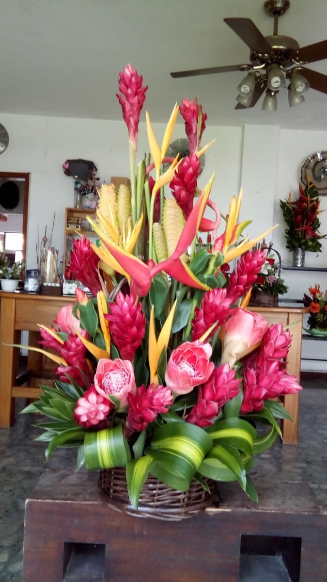 Foto de Las Flores de Estela