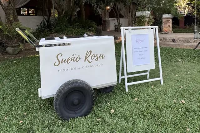 Sueno Rosa Mixologia Congelada — catering en Mérida