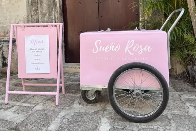 Sueno Rosa Mixologia Congelada — catering en Mérida (2)
