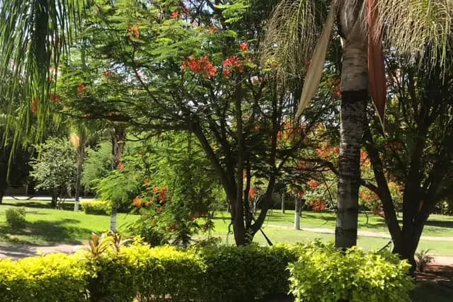 Venues — Rancho Ixtla Las Palmas, Puente de Ixtla