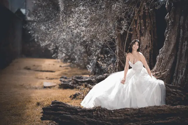 Vestidos y Trajes — Tizia, Morelia