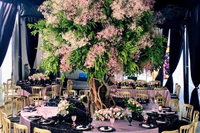 Catering — Manuel Robles Banquetes, Dolores Hidalgo