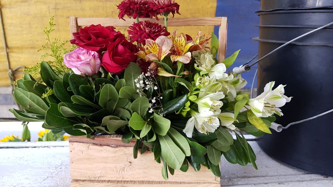 Foto de Bella Rosa
