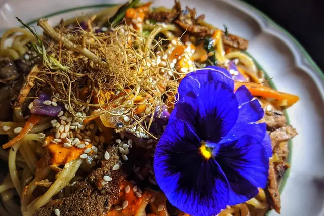 Catering — Veganing Gastro Experience,